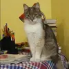 Отзыв от Эмилия Чеснокова